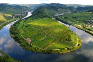 Mosel Mosel